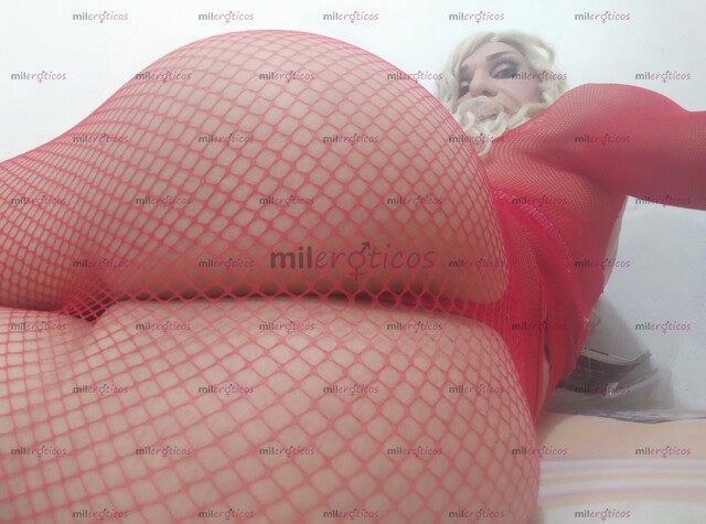 FOTOS DE MÓNICA FÉNIX LA DIOSA TRANS MÁS PERRA