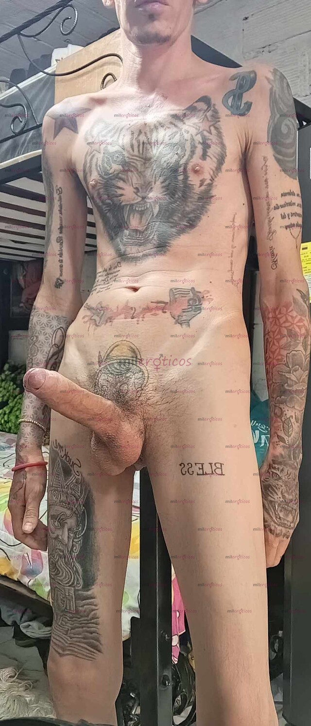 FOTOS DE ACTIVO VERGON DELGADO BLANCO VENTA DE VIDEO LLAMADAS SEXO YO ACTIVO
