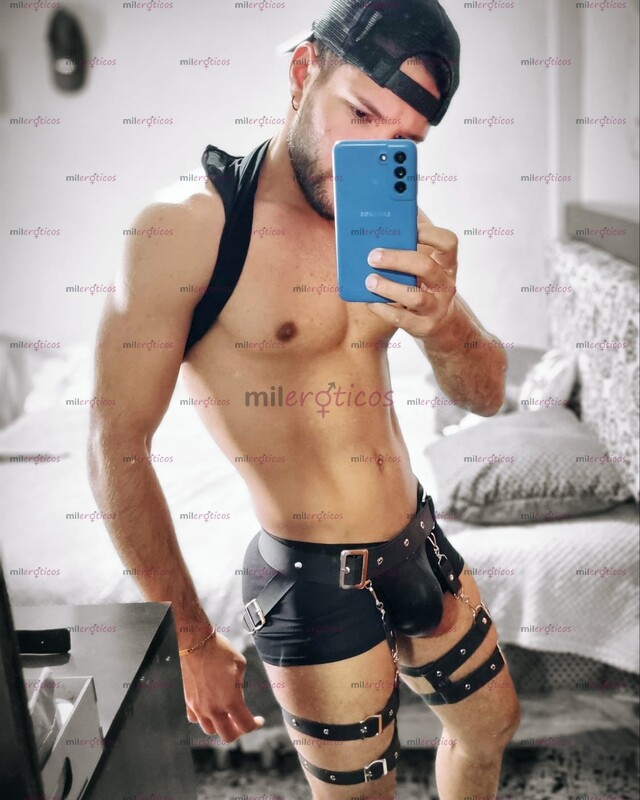 FOTOS DE POCOS DIA MASCULINO POLLO EDUCADO MACHO 21 CM. LEO DOMINANTE