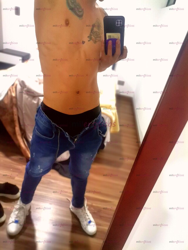 FOTOS DE VERSATIL ACTIVO LECHERO NUEVO EN TU BOGOTÁ