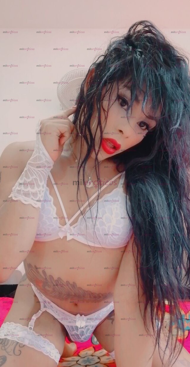 FOTOS DE VERGONA DISPÓNIBLE CON APARTAMENTO PRIVADO FULL COMPLACIENTE