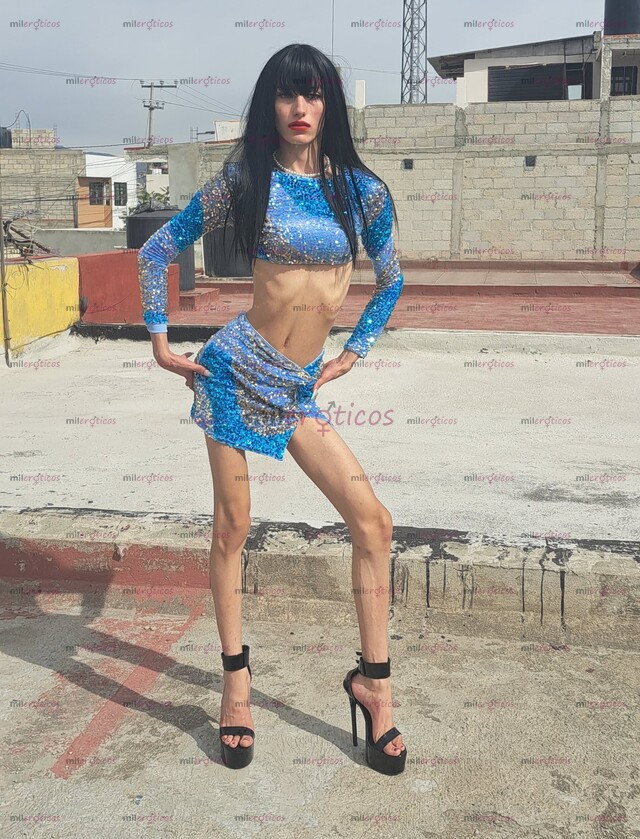 FOTOS DE QUIERO LECHE PAPI . CÓMO ESTÁS CORAZÓN? SOY CHICA TRANS LATINA.KOTONOHA