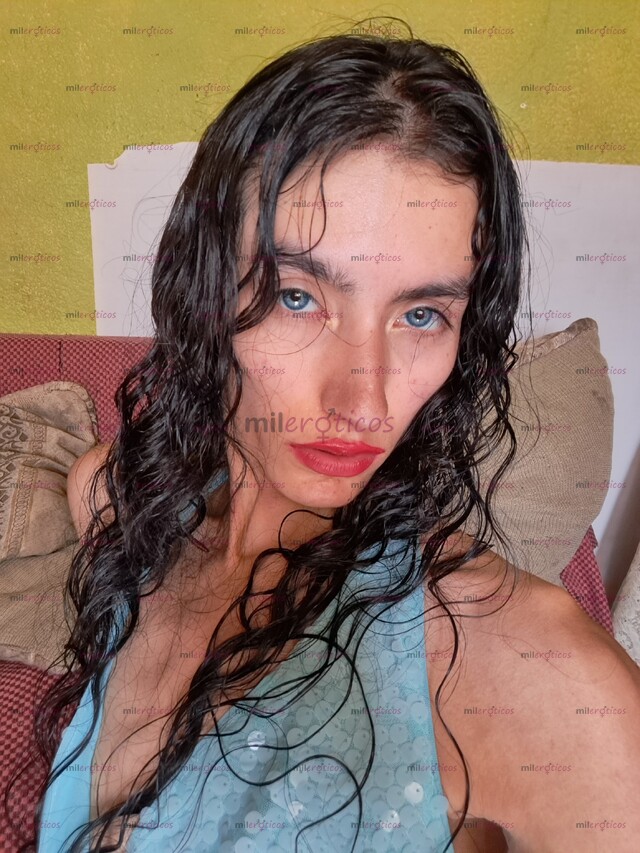 FOTOS DE PROSTITUTA DELGADA Y SUPER AMABLE Y BUENA ONDA. SOY DELGADA Y ALTA. CHICA TRANS.