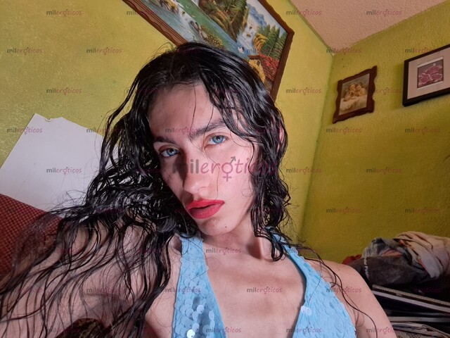FOTOS DE PROSTITUTA DELGADA Y SUPER AMABLE Y BUENA ONDA. SOY DELGADA Y ALTA. CHICA TRANS.