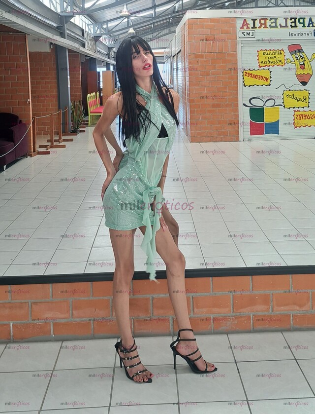 FOTOS DE TE CHUPO TU VERGA AMOR. SOY CHICA TRANS LATINA