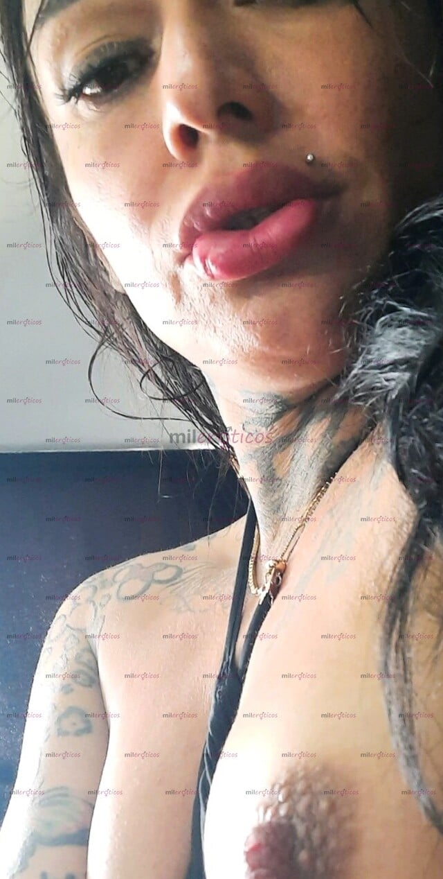 FOTOS DE LA TRANS MAS PUTITA DEL PORTAL . TATUADITA SUPER CACHONDA CON LUGAR EN SAN NICOL