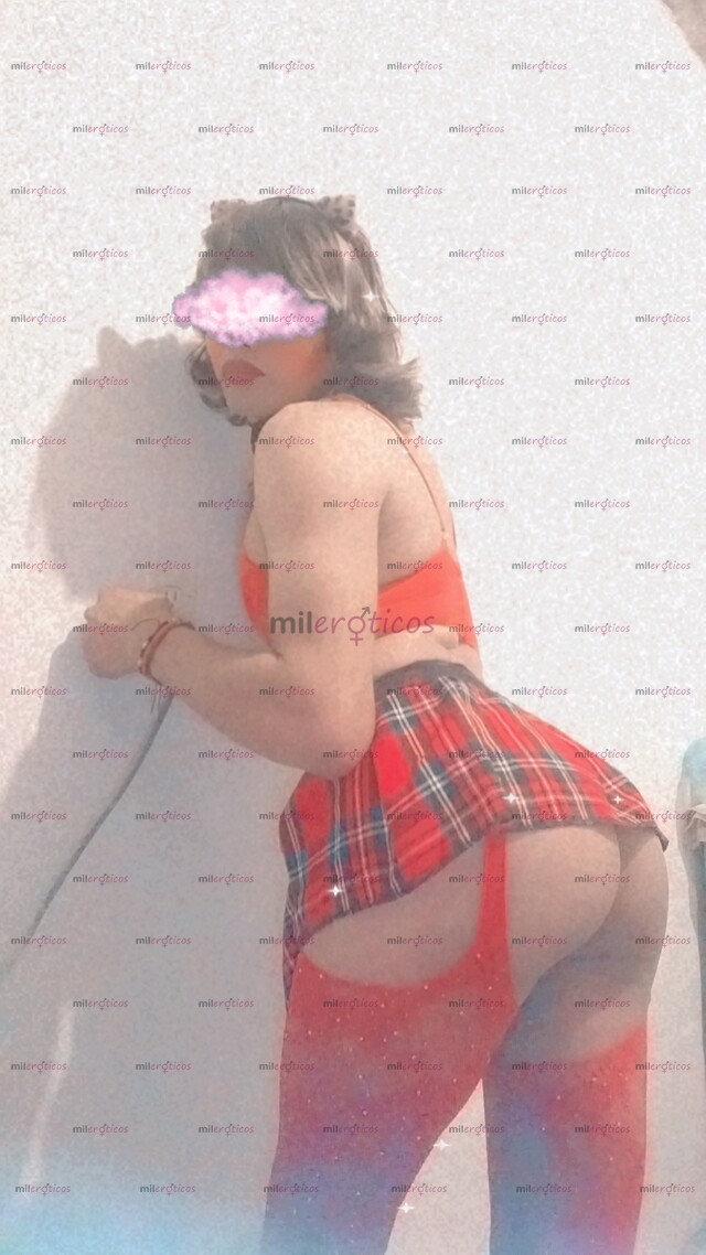 FOTOS DE FLAQUITA TRANS COQUETA Y NUEVA TIERNA UNIVERSITARIA INDEPENDENTE