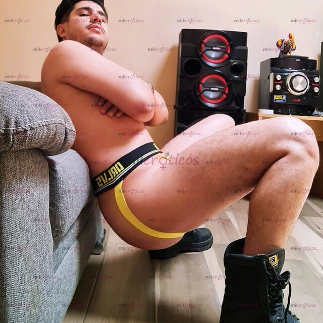 FOTOS DE ZAYN PASIVO PARA UNA EXPERIENCIA EXTRAORDINARIA BOTTOM