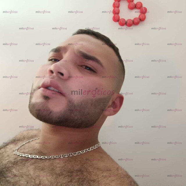 FOTOS DE OSO VERSÁTIL,COMPLACIENTE, MORBOSO, CALIENTE