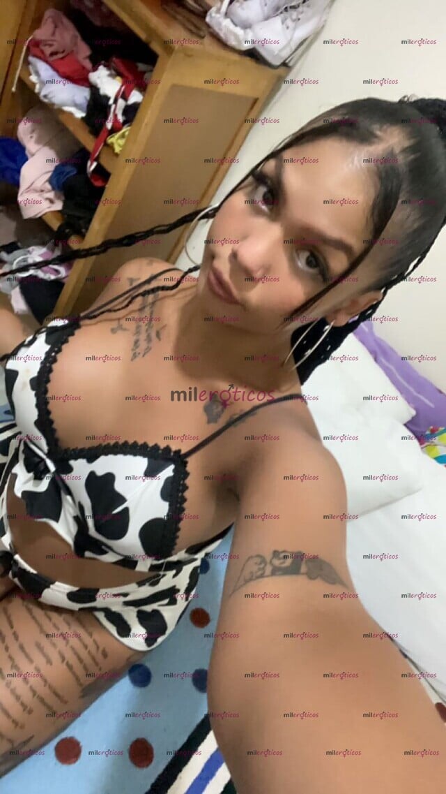 FOTOS DE FACIL ERECCION PERRA LECHERA Y PASIVA CULITO GRANDE APRETO DELICIOSA ESAS VERGAS