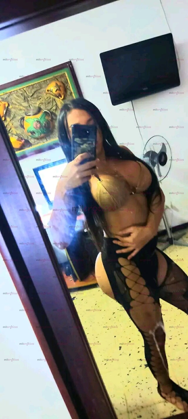 FOTOS DE SOLO PLE HOY CON SITIO EN . EL TERNERA SOLITA