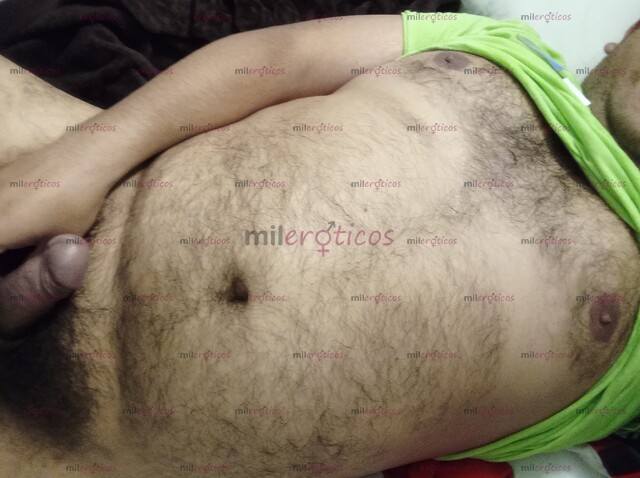 FOTOS DE OSO CHUBBY CALIENTE Y COMPLACIENTE PARA TI