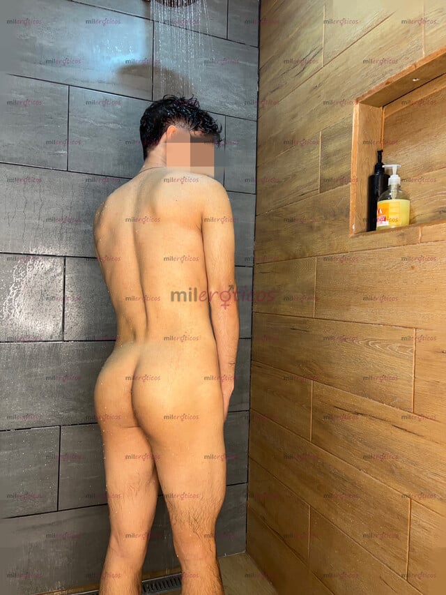 FOTOS DE POLLO PINTA VERSÁTIL DISPUESTO A CONOCER Y PASAR UN BUEN RATO JUNTOS,
