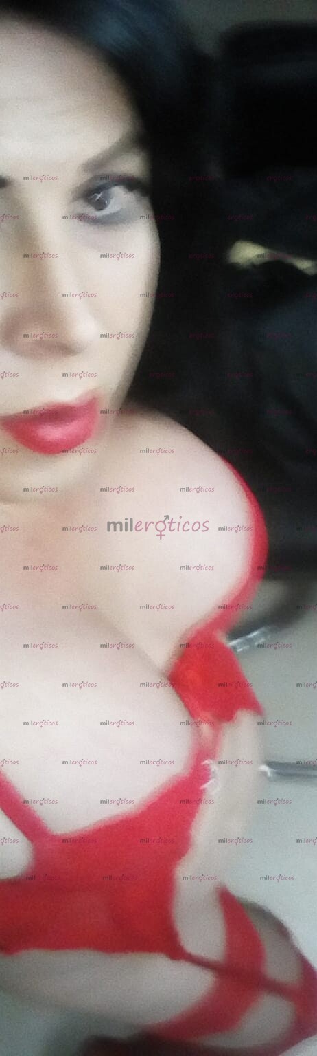 FOTOS DE BELLA CHICA TRANS COMPLACIENTE PIEL BLANCA MUY SEXOSA