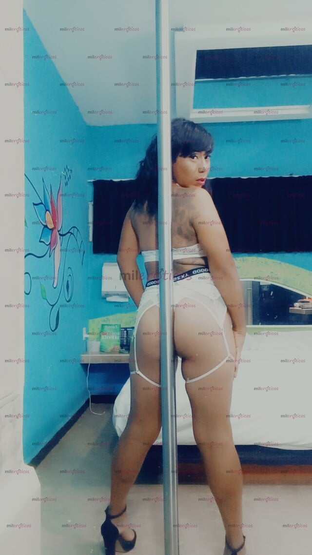 FOTOS DE PAOLA NENA TRANS JAROCHA ATIENDO CON LUGAR TRATO DE NOVIOS ÍNTER COMPLACIENTE