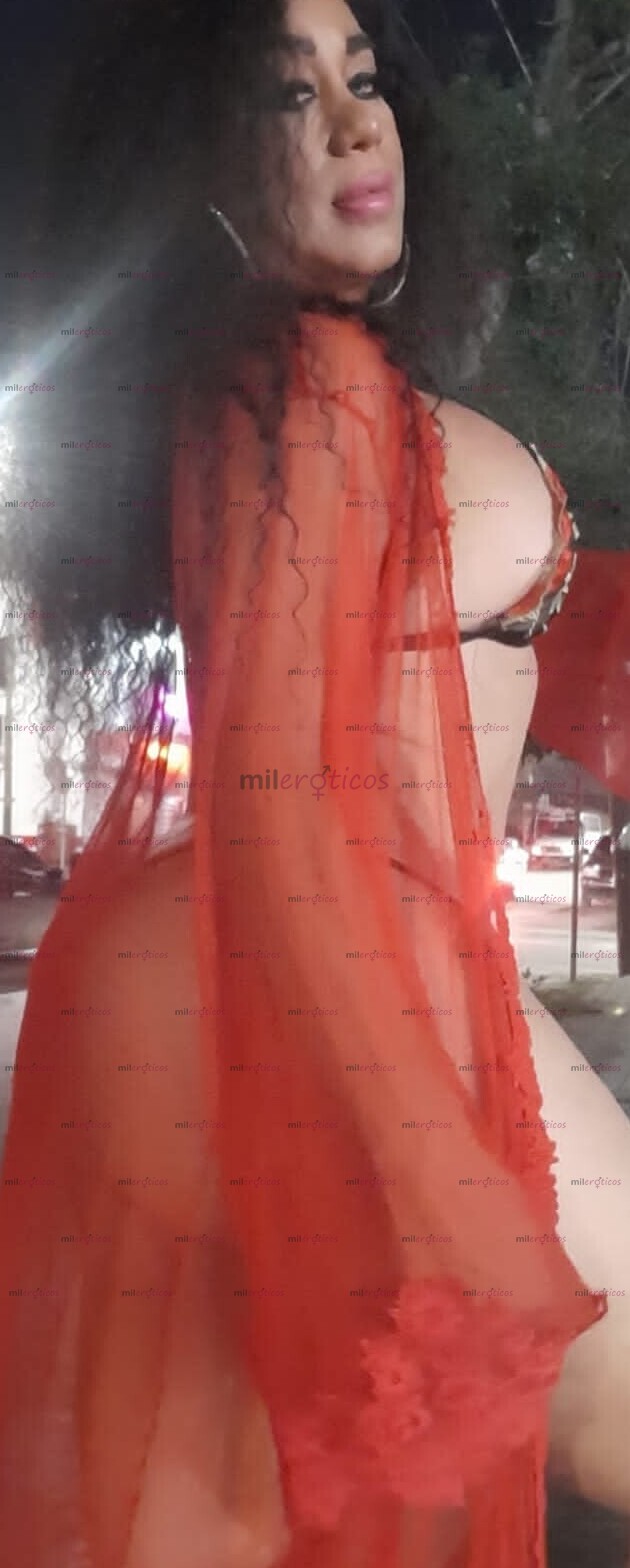 FOTOS DE ANACONDA EN CIUDAD, ISAMAR 24 7 TOTALMENTE FUNCIONAL Y COMPLACIENTE