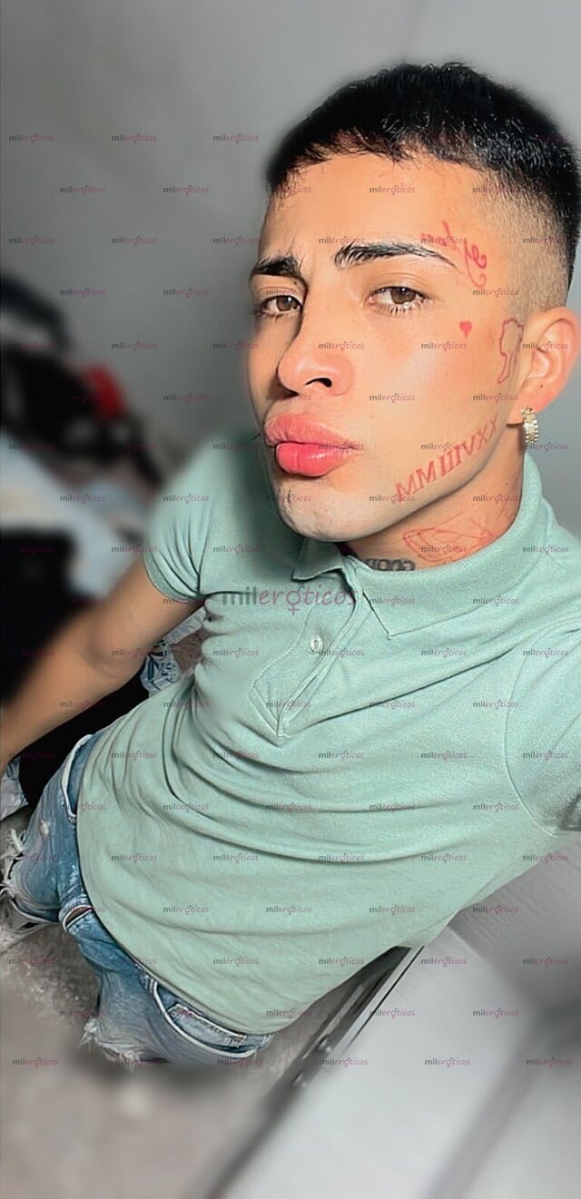 FOTOS DE CHACAL COMPLACIENTE, LINDO Y CARIÑOSO , QUE MAS QUIERES?