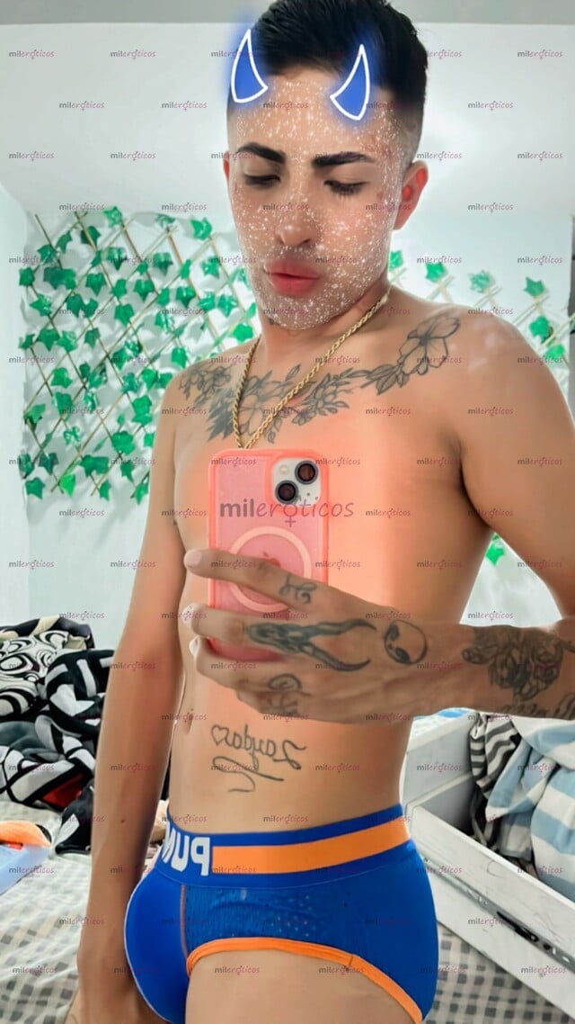 FOTOS DE CHACAL COMPLACIENTE, LINDO Y CARIÑOSO , QUE MAS QUIERES?