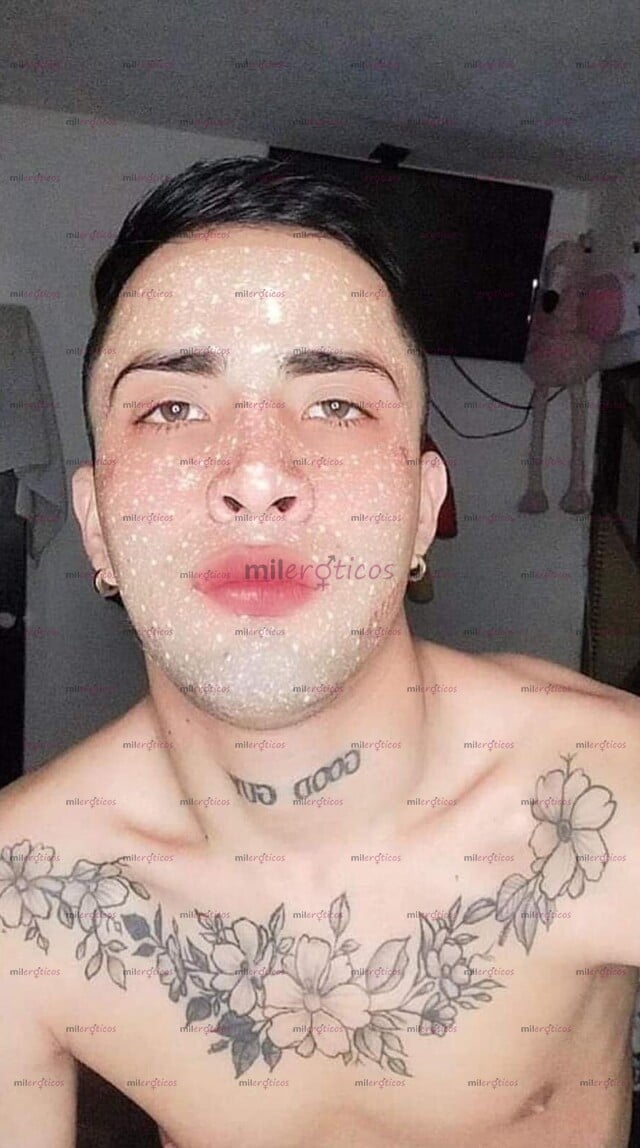 FOTOS DE CHACAL COMPLACIENTE, LINDO Y CARIÑOSO , QUE MAS QUIERES?