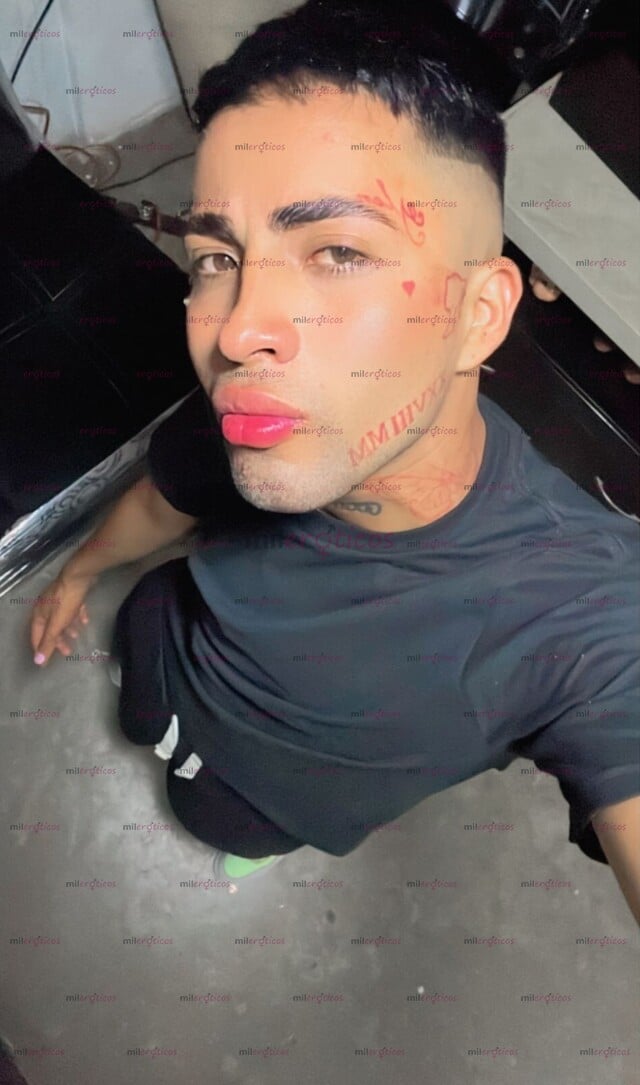 FOTOS DE CHACAL COMPLACIENTE, LINDO Y CARIÑOSO , QUE MAS QUIERES?