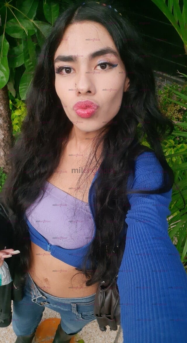 FOTOS DE MUÑECA ACTIVA SHEMALE TOP TRANNY LADYBOY HOT ACTIVE TRANSSEXUAL ATIVA