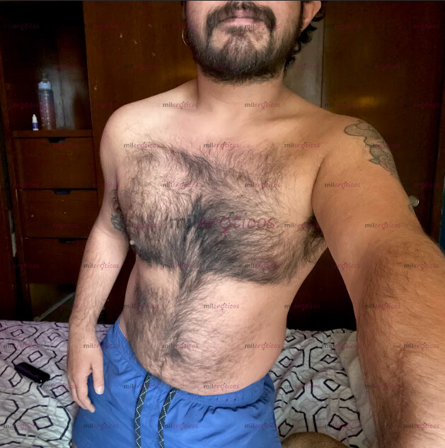 FOTOS DE ACTIVO OSO PELUDO BARBON VARONIL CON LUGAR EN CDMX