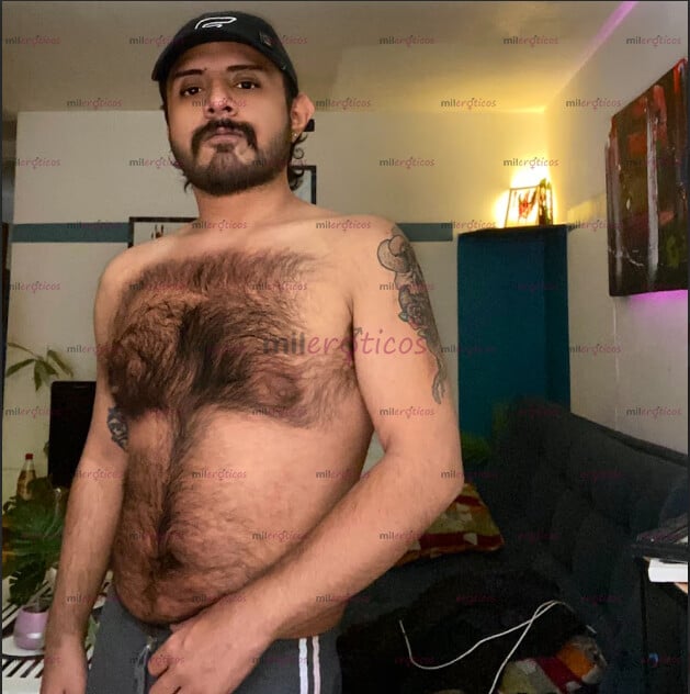 FOTOS DE OSO PELUDO PASIVO BB DISPONIBLE Y ENCUENTROS, OLORES, AXILAS, PELOS, FETICHES