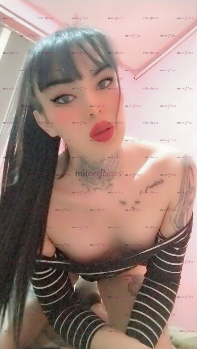 FOTOS DE HERMOSA PERRITA COMPLACIENTE 19 CM FULL LECHERA Y ARRECHA DISPUESTA A TODO