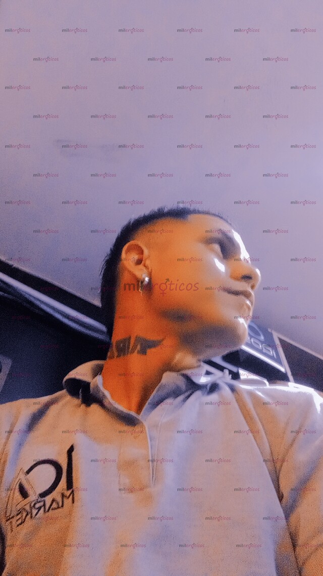 FOTOS DE VERSÁTIL MÁS ACTIVO FULL LECHERO COMPLACIENTE DOMINANTE