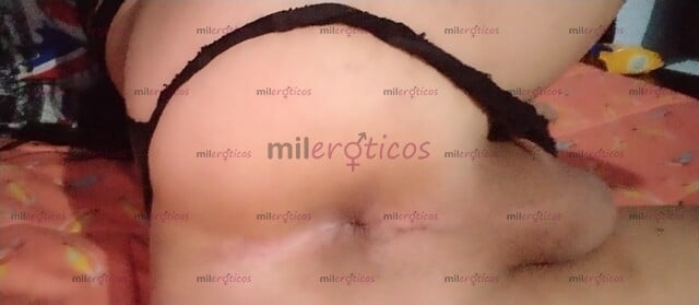 FOTOS DE PERRA SUMISA TRAGA LECHE VERSÁTIL COMO LO DECEES AMORES VEN Y DISFRUTA