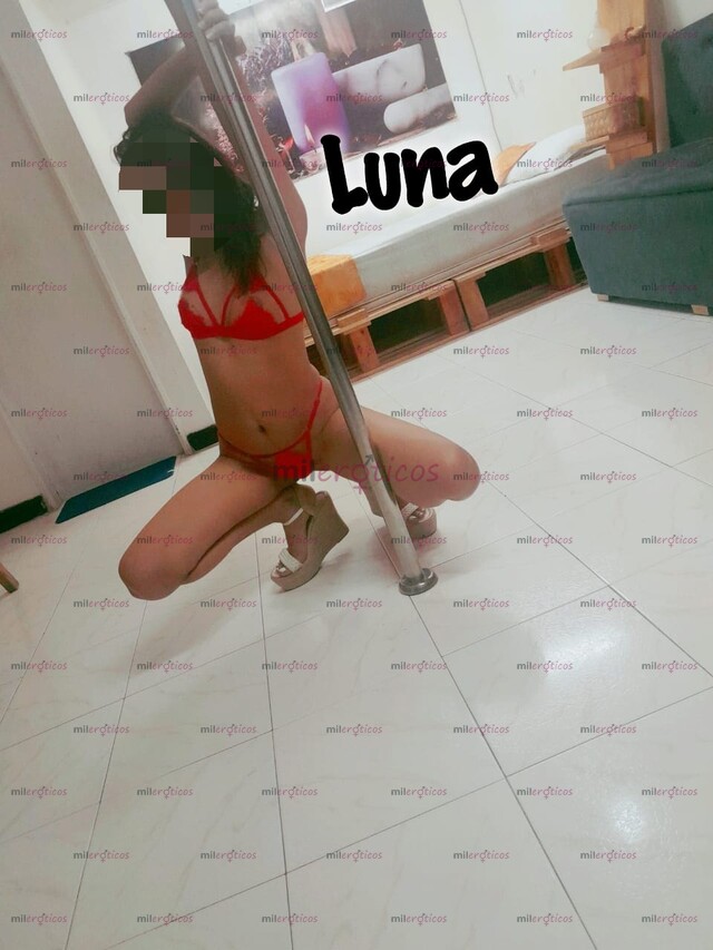 FOTOS DE PERRITAS RICAS DISPUESTA A LLEVARTE A LA LUNA