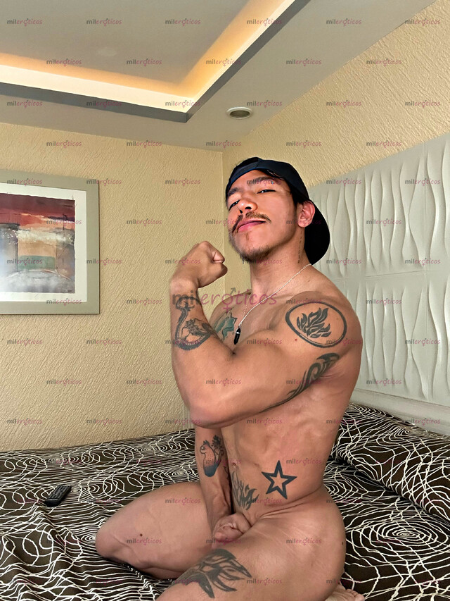 FOTOS DE PRINXE XL. INTER ACTIVO, EXPERTO COGEDOR