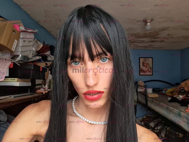 FOTOS DE LOS TUZOS. ME LLAMO KOTONOHA JEAN KATSURA BADILLO GÓMEZ. LAS 24 HORAS DEL DÍA.