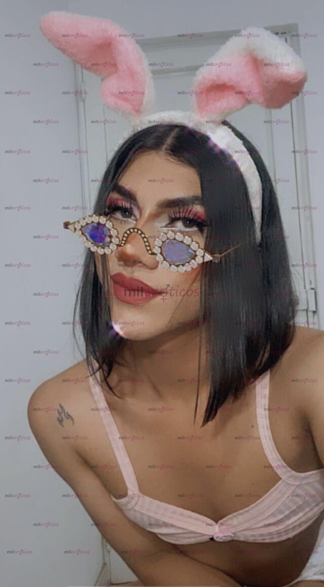 FOTOS DE RESIDENCIA POLLITA TRANS PASIVA EN LA CIUDAD AMOR CONEJITA HOT HOY VIENE POR TI