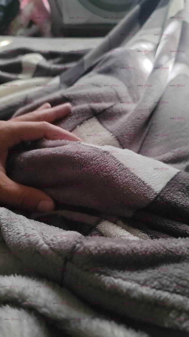 FOTOS DE CHIKO ACTIVO EN TU SIUDAD CON UN RIKO CARAMELO 19 CM PARA TY CON MUCHA LECHE