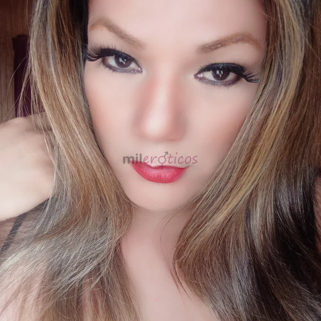 Hola amor me llamo sol tv dama del tercer sexo muy carinosa escultural femme culona pechugona experta en mamada de pico natural hasta el final gargant...