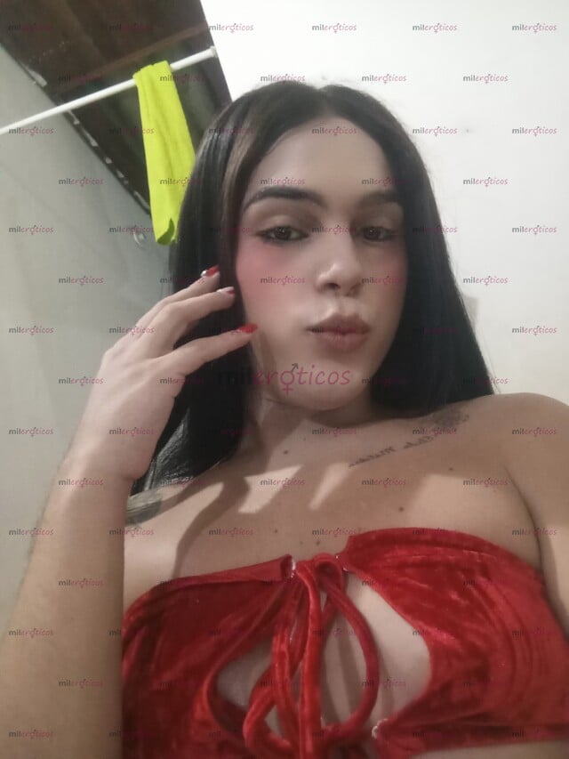 FOTOS DE POLLITA NUEVA RECIÉN LLEGADA CON CENTRO LLEGA