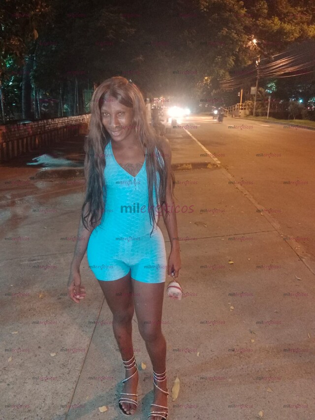 FOTOS DE TRANSEXUAL DIVINNA ¡MAS PERRA QUE HUMANA¡