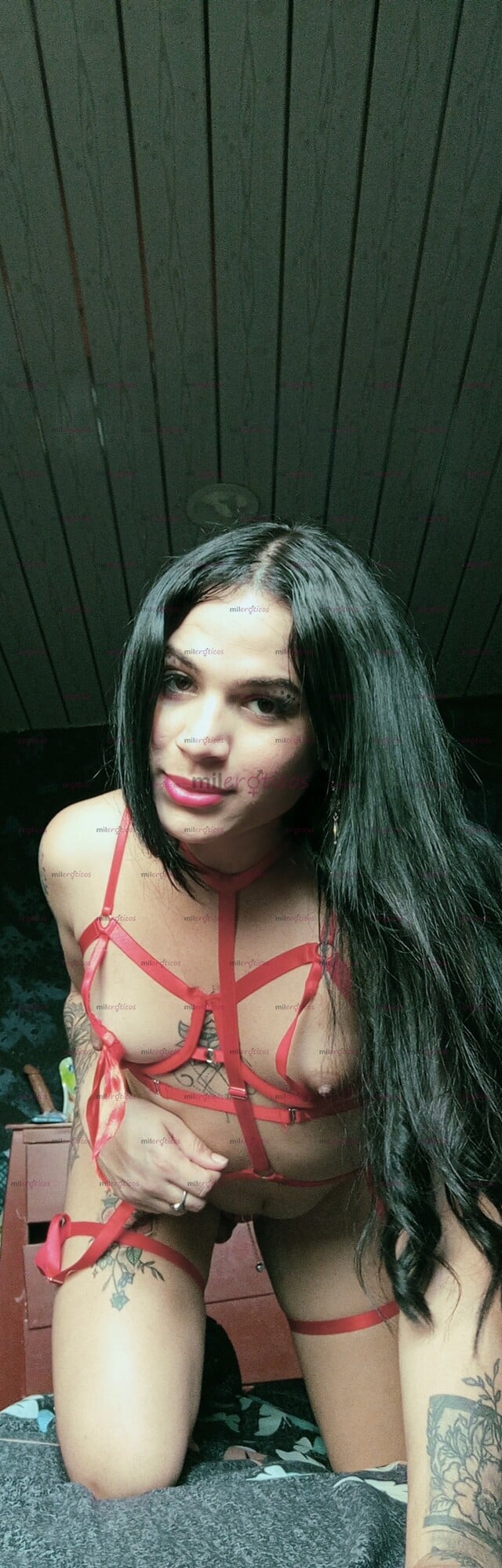 FOTOS DE VERGONA LECHERA 18CTM DE VERGA GRUESA DOY BESO NEGRO CLIENTES PASIVOS Y ACTIVOS