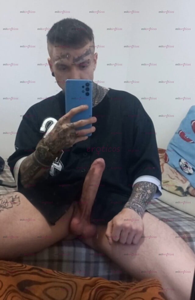 FOTOS DE TORO ACTIVO, VERGA GRANDE Y GRUESA,ACTIVO DOMINANTE NEA COLOMBIANO