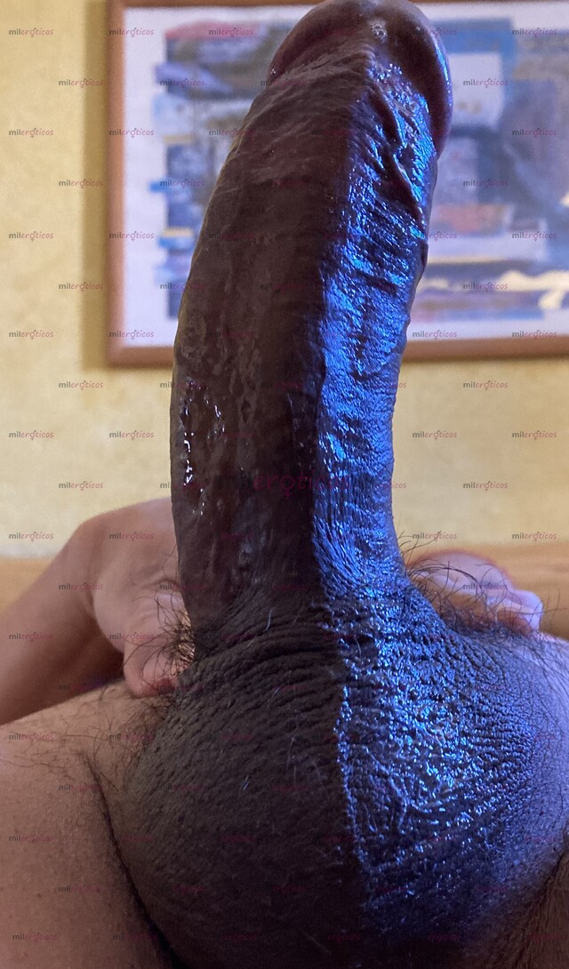 FOTOS DE YO SI ME COJO A TU MUJER FRENTE A TI Y TE PONGO A LIMPIAR MIS FLUIDOS CORNUDO