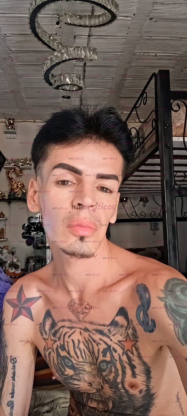 FOTOS DE FLACO TATUADO VERGON XXL COMPLACIENTE TALADRADOR DE CULOS CALIENTES