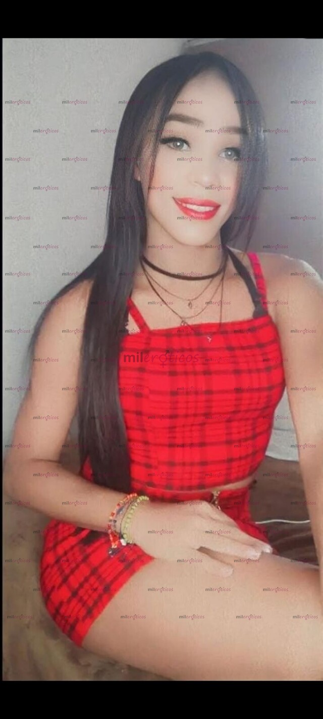 FOTOS DE PIEL CANELA NUEVA EN TU SECTOR EN BUSCA DE NUEVAS AVENTURAS ISABELLA BOSA BRASIL