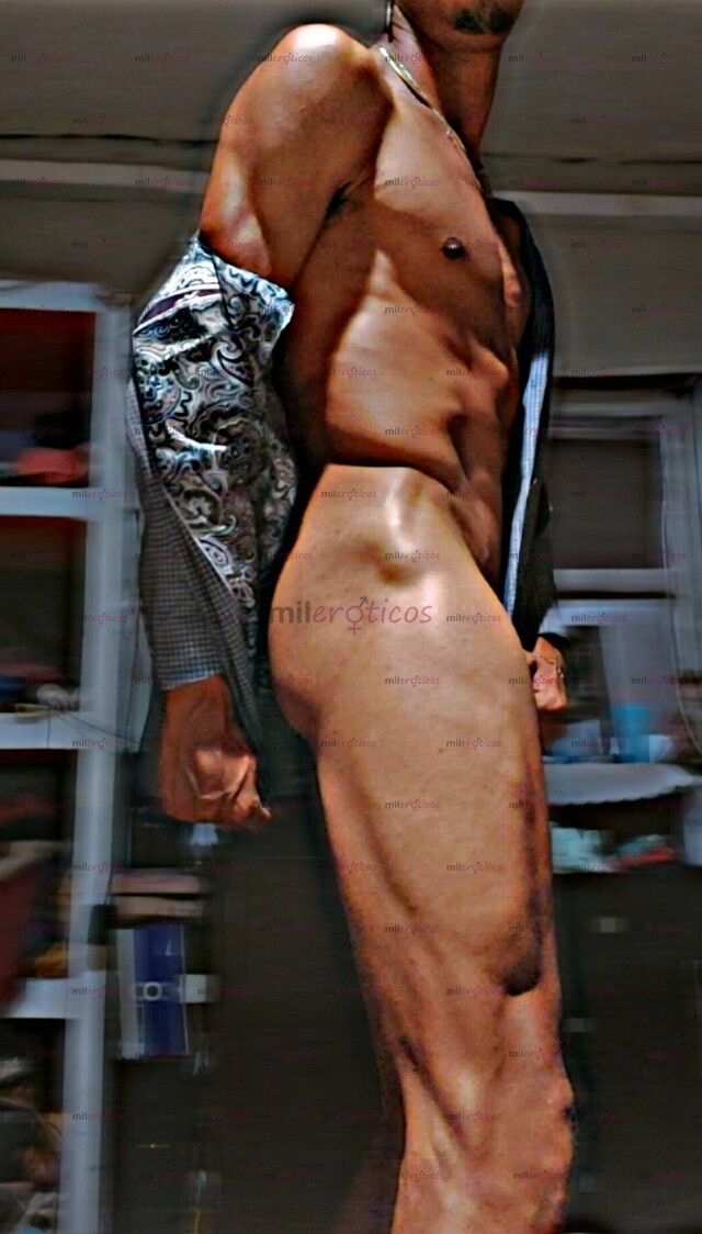 FOTOS DE EL CABALLO NEGRO ESTA DE REGRESO PARA CUMPLIR TU FANTASÍA