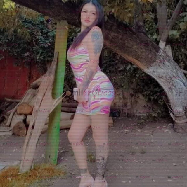 FOTOS DE LINDA GATITA QUE TIENE GANAS DE TI VEN A DISFRUTARME Y REGALAME TU LECHITA