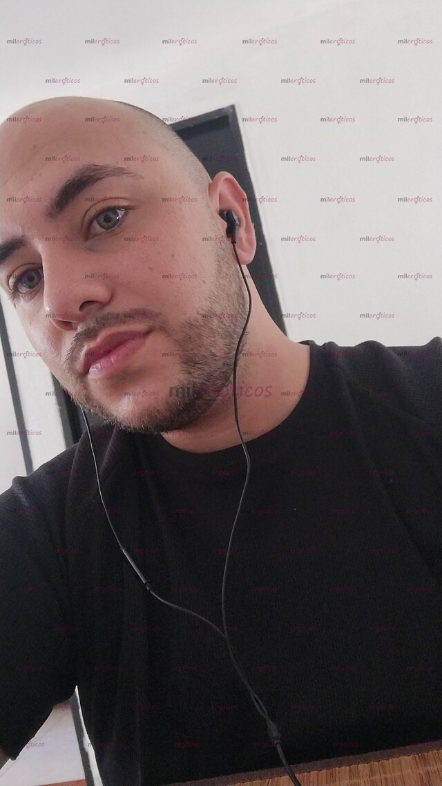 FOTOS DE CHICO OSO BLANCO VELLUDO DE OJOS CLAROS COMPLACIENTE