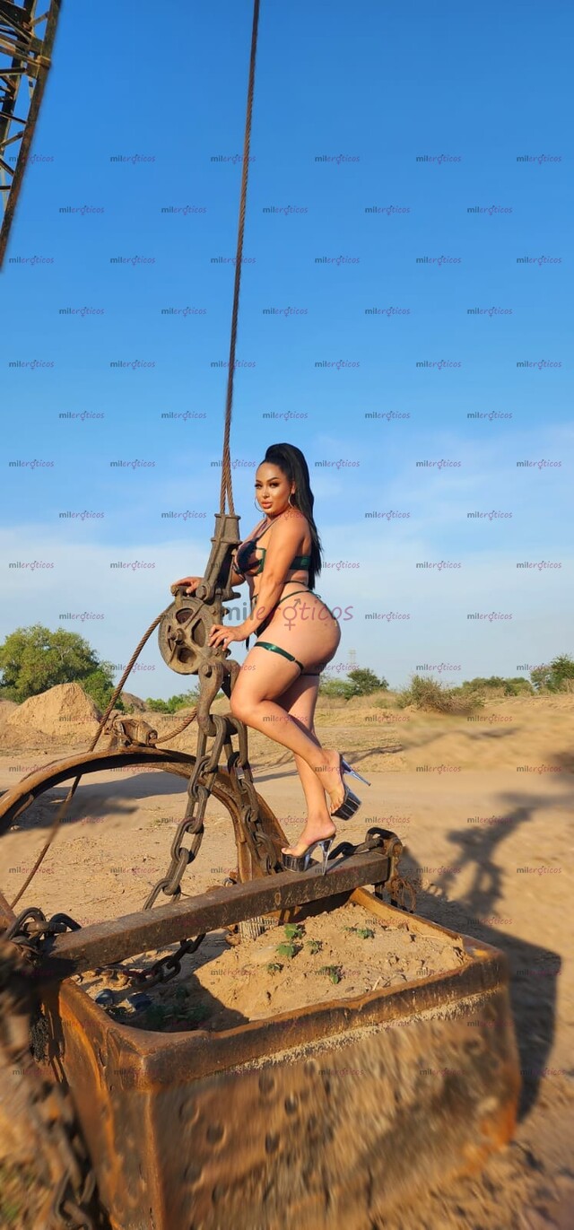 FOTOS DE SOLO PARA SOLVENTES $2300 EXOTIC BIG DIG DISPONIBLE VERGOTA LLENADORA