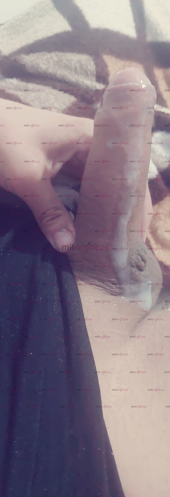 FOTOS DE TRAVESTI COJE CULOTES DE PUTOS PASIVOS CURIOSOS Y PRIMERIZOS AMOR PREGUNTA