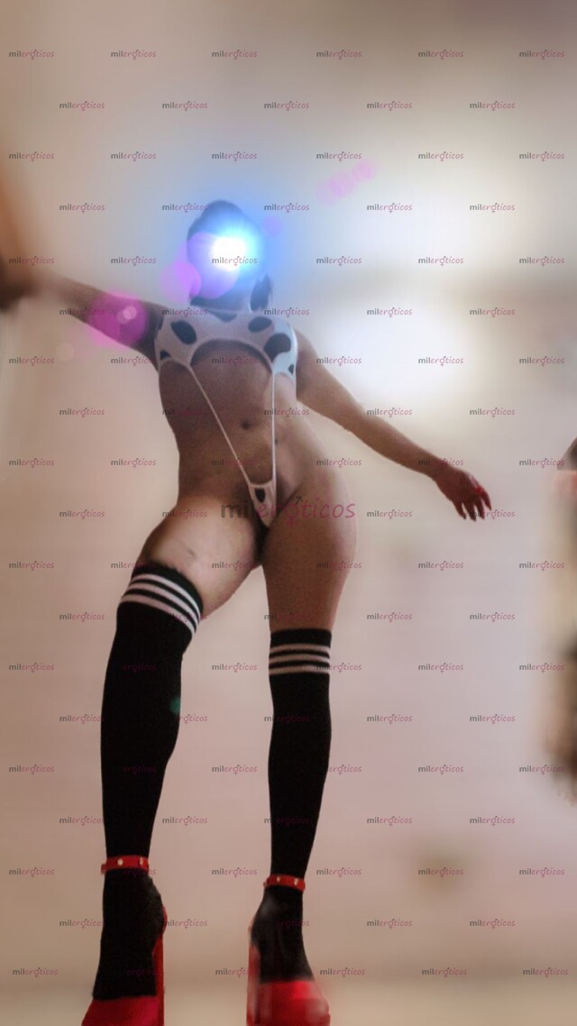 FOTOS DE PAPI VEN COGEME ANDO CACHONDA! PROMOS DESDE $400!