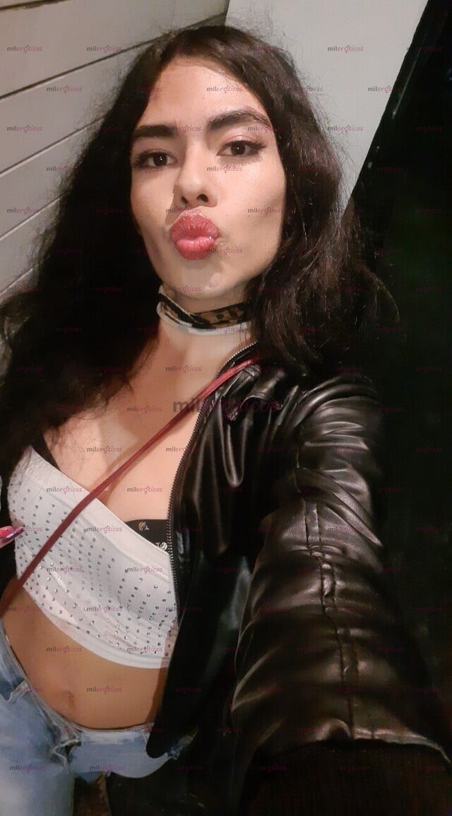 FOTOS DE MUÑECA ACTIVA SHEMALE TOP TRANNY LADYBOY HOT ACTIVE TRANSSEXUAL ATIVA